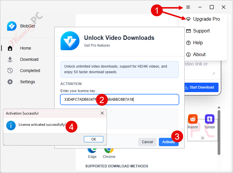 blobget download manager activation blobget download manager activation