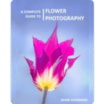 ON1 eBook: A Complete Guide to Flower Photography Free