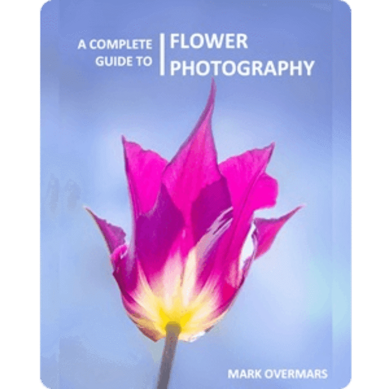 A Complete Guide to Flower Photography