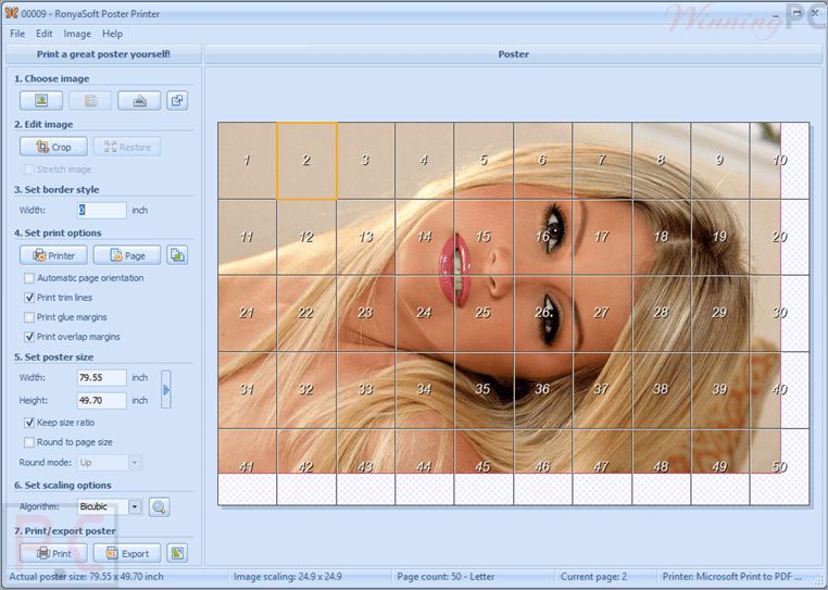 RonyaSoft Poster Printer Coupon Code