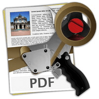 Single User License