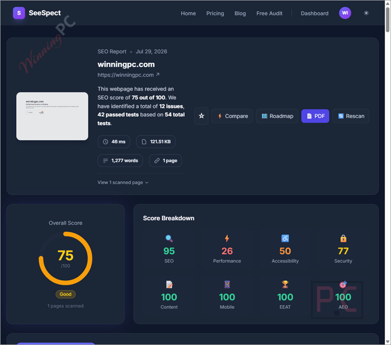 seo report seespect seo report seespect