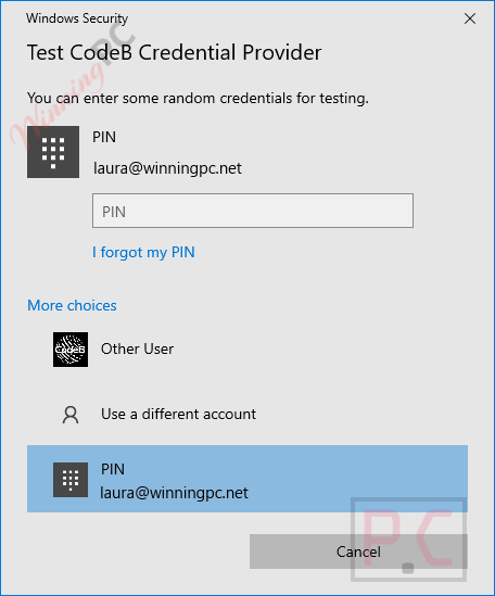 CodeB Credential Provider Main Screenshot