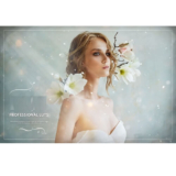 500 Eldamar Studio Professional LUTs
