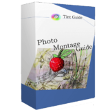 Tint Photo Montage Guide