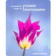 ON1 eBook: A Complete Guide to Flower Photography Free