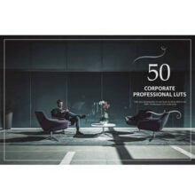 Eldamar Studio Giveaway: Corporate Color Correction Pack