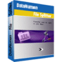 DataNumen File Splitter Lifetime