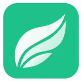Fluig AI: Smart AI for Mind Maps, Flowcharts & Chat
