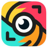 Lingopic Vocabulary Flashcards App Giveaway for iOS