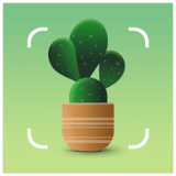73% Off Plantum – AI Plant Identifier Coupons & Deals