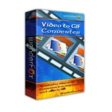 WonderFox Video to GIF Converter Giveaway: Lifetime License
